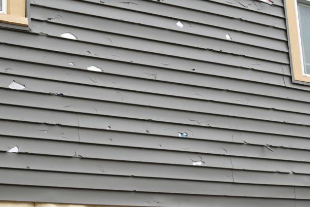 Professional Junk Removal in Tawas City, MI